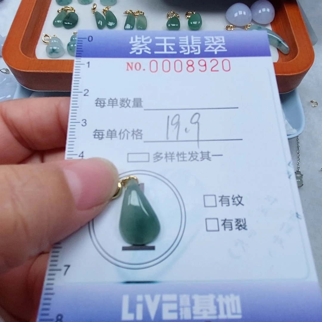 颈饰未镶嵌翡翠冰透随行