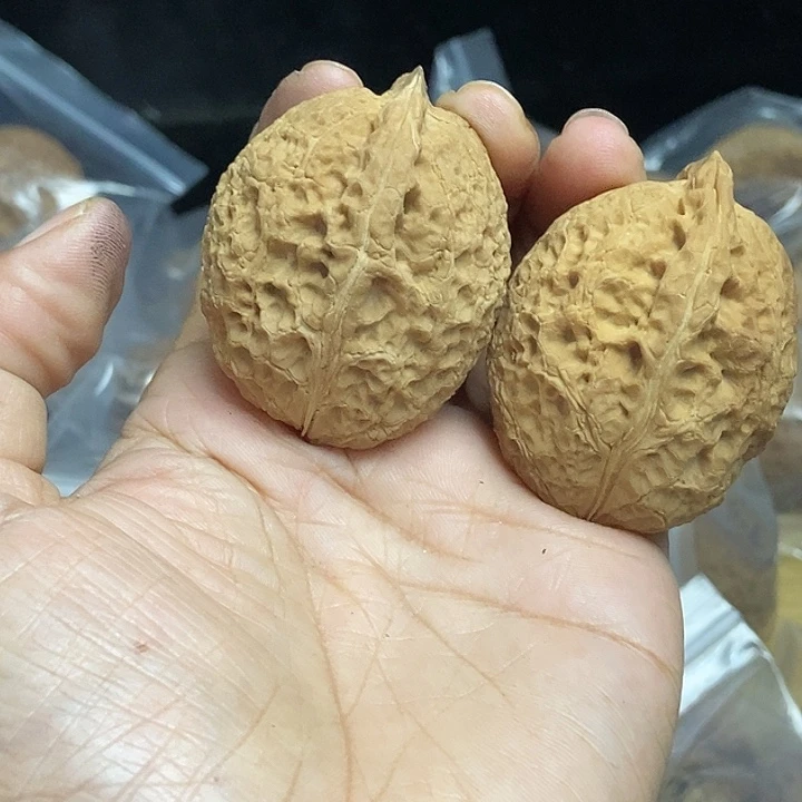 木质类云南铁核桃基地52