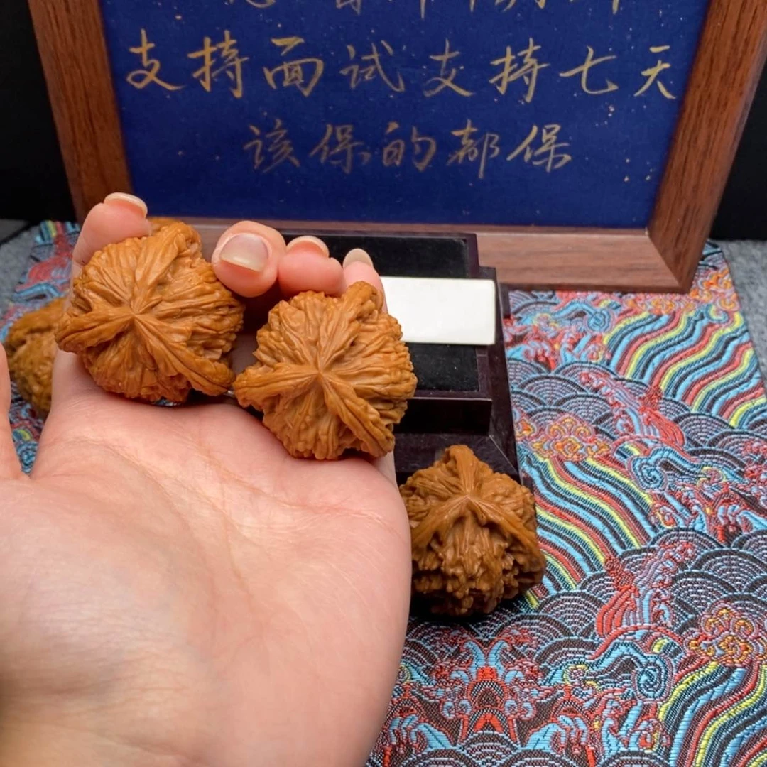 【闪购商品】Z**.白狮