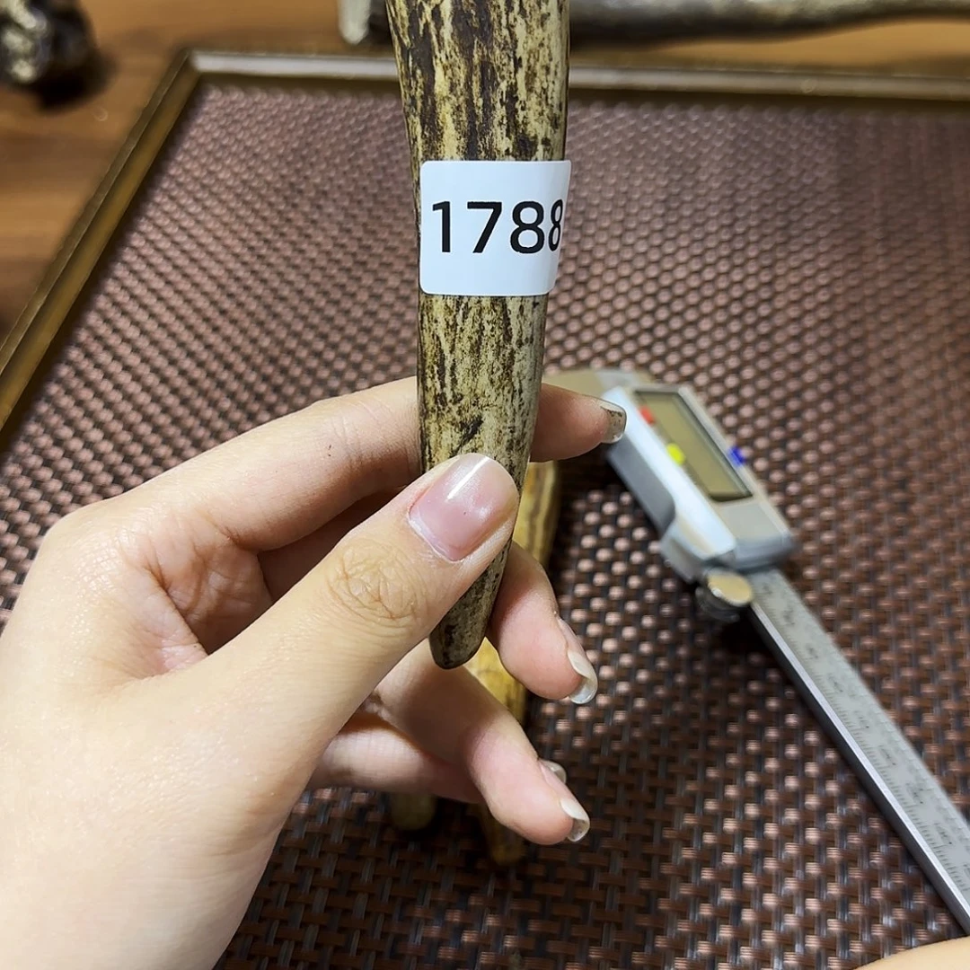 鹿骨手串/手链1788 角尖