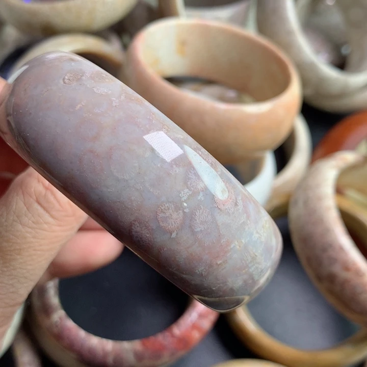 硅化珊瑚（珊瑚玉）颈饰未镶嵌霜*