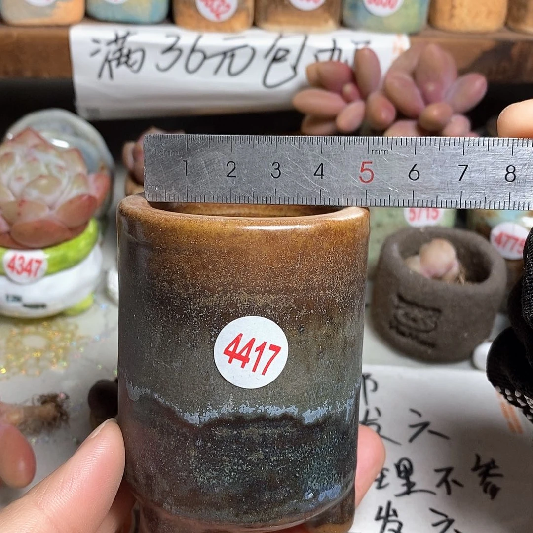 红陶拍5送一个小