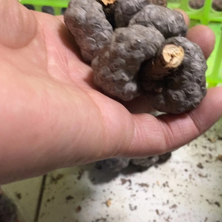 风***伯文玩核桃吊坠东北特产6