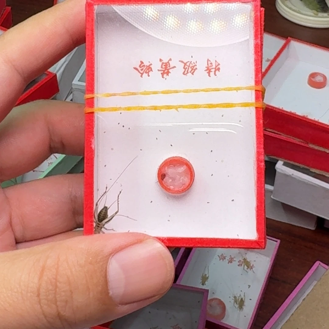 爱***蟹2大黄2金蛉。