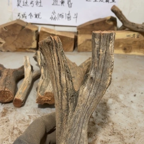 大果紫檀（缅甸花梨）淡**尘