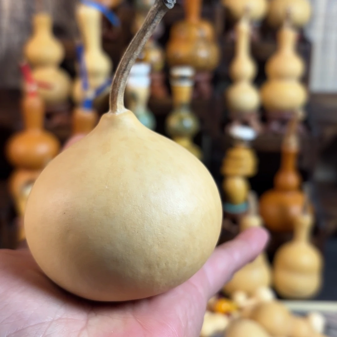 点关注冲业绩看好拍