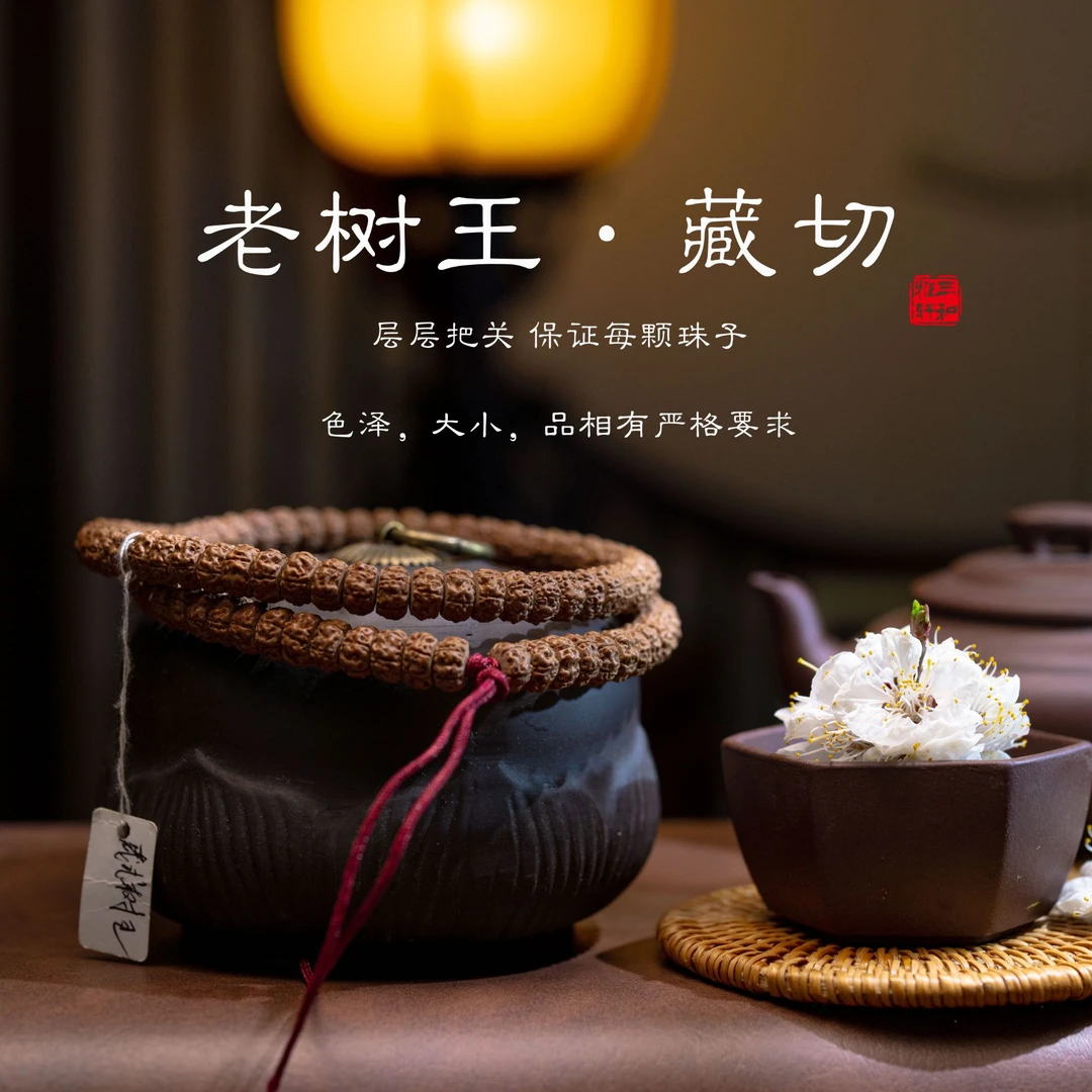 【树王·龙斩】菩提小金刚