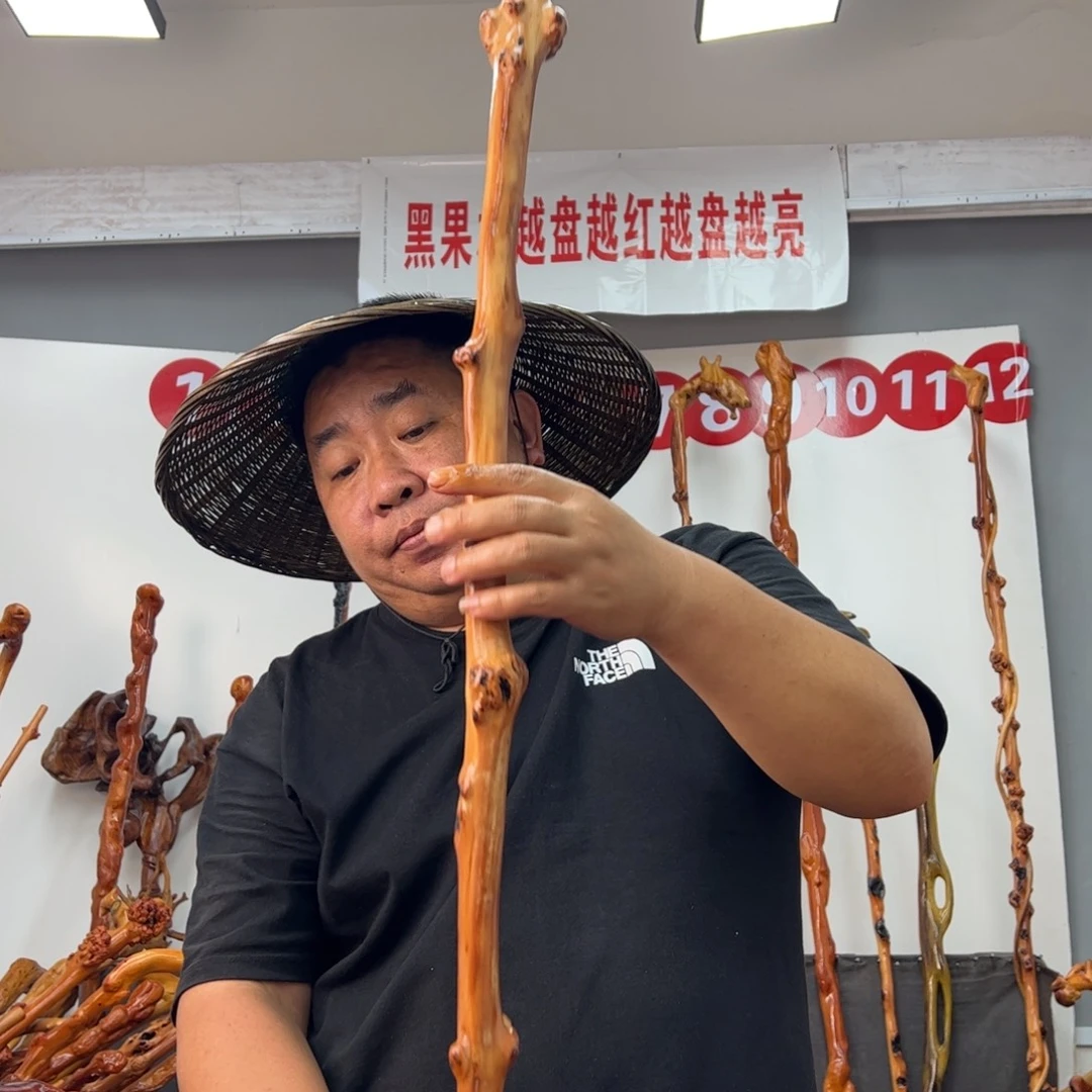 黑果木其他快**生黑果木045