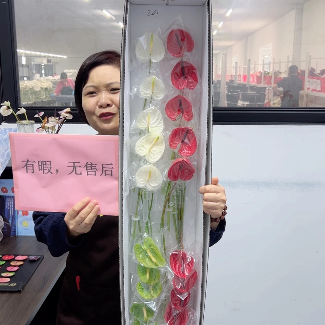 完全开放混色20枝迷你无售后款201