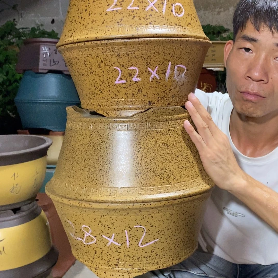 紫砂紫砂紫砂紫砂