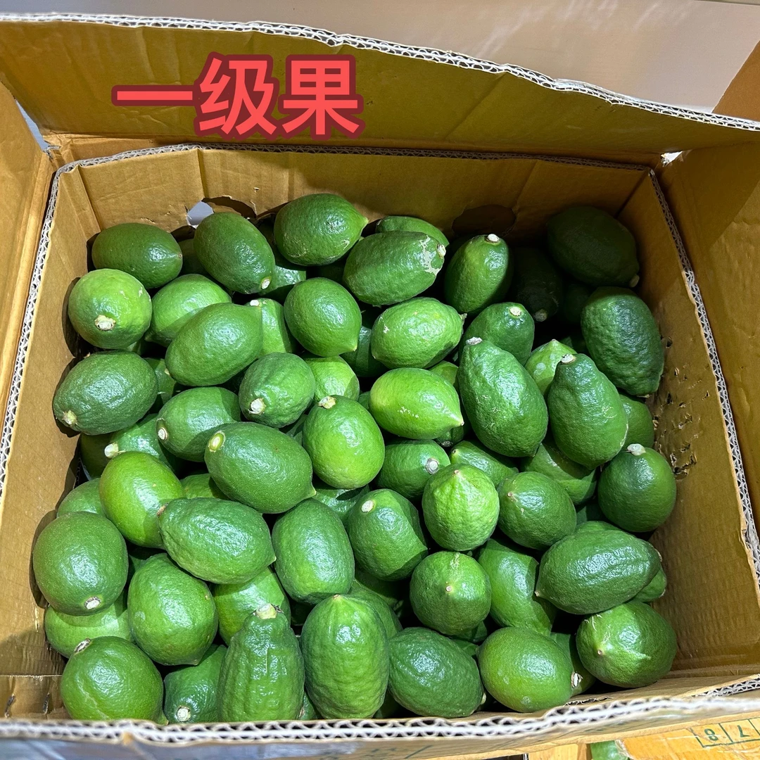 广东香水柠檬一级果10斤精品装广东省内包邮