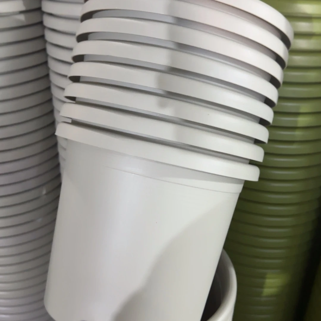 树脂特价4#无拖灰白8个