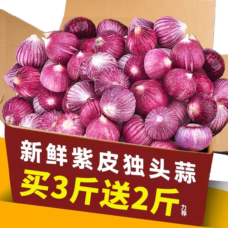【买3斤送2斤】正宗紫皮独头大蒜珍珠蒜腊八蒜特大号新鲜湿大蒜产地