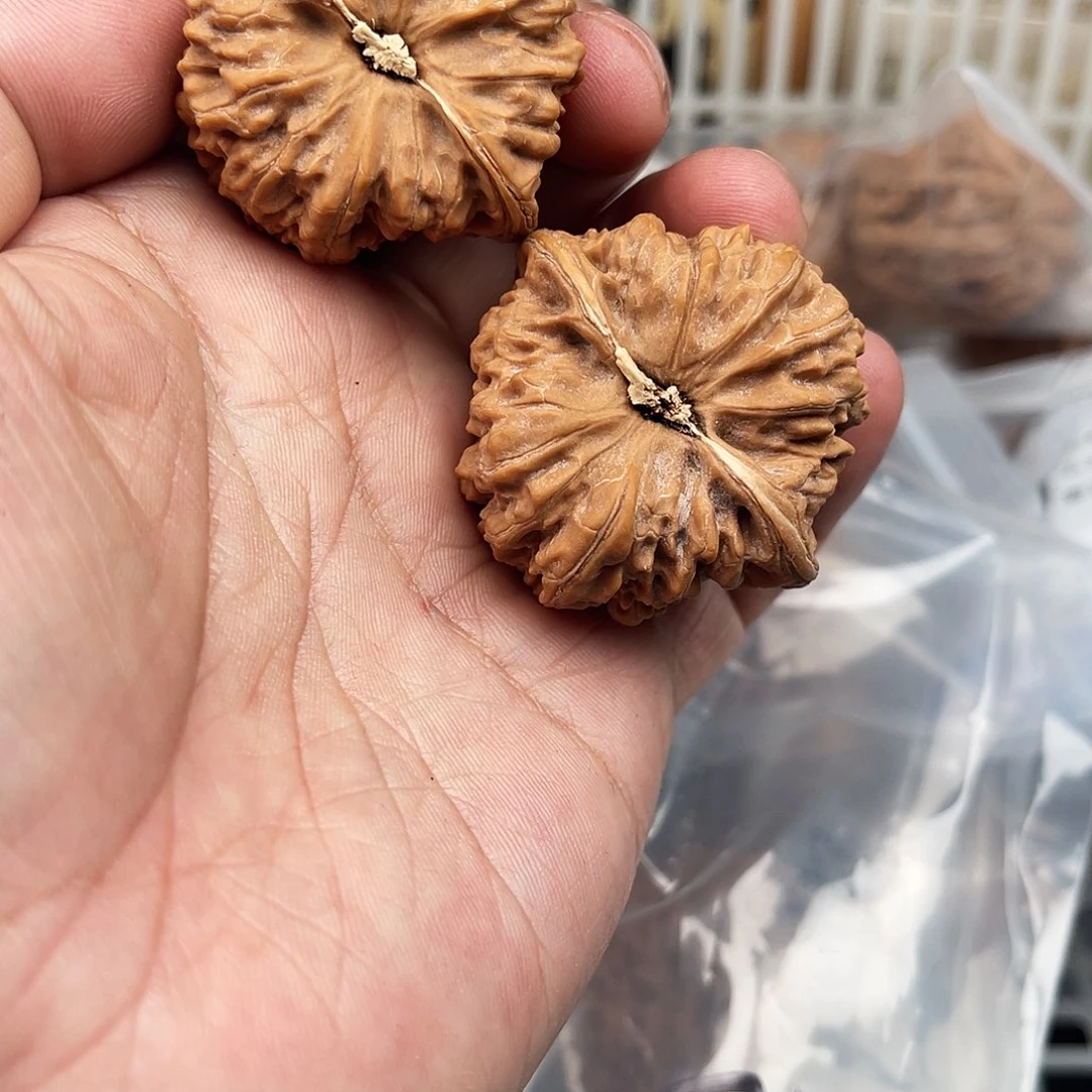 文玩核桃把件不*了凹底40