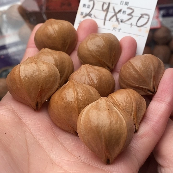 手串/手链橄榄核小***诗