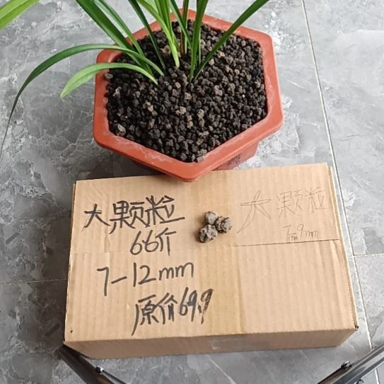 用***2兰菌黑山土大颗粒6.6斤