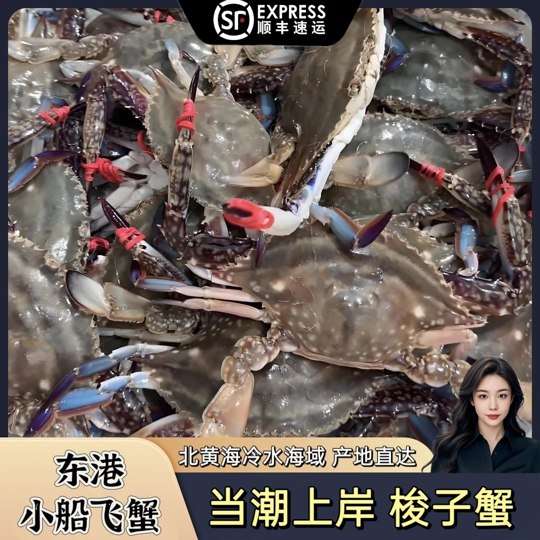 公蟹 东港本地梭子蟹 每只2.5两左右 三斤12只左右【保鲜不保活】