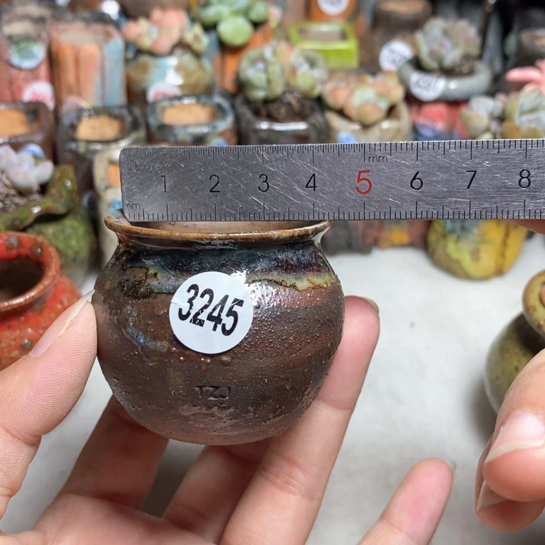 拍5送一个小礼物