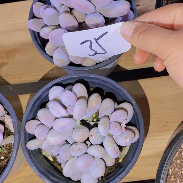 这么久不给个回应啊