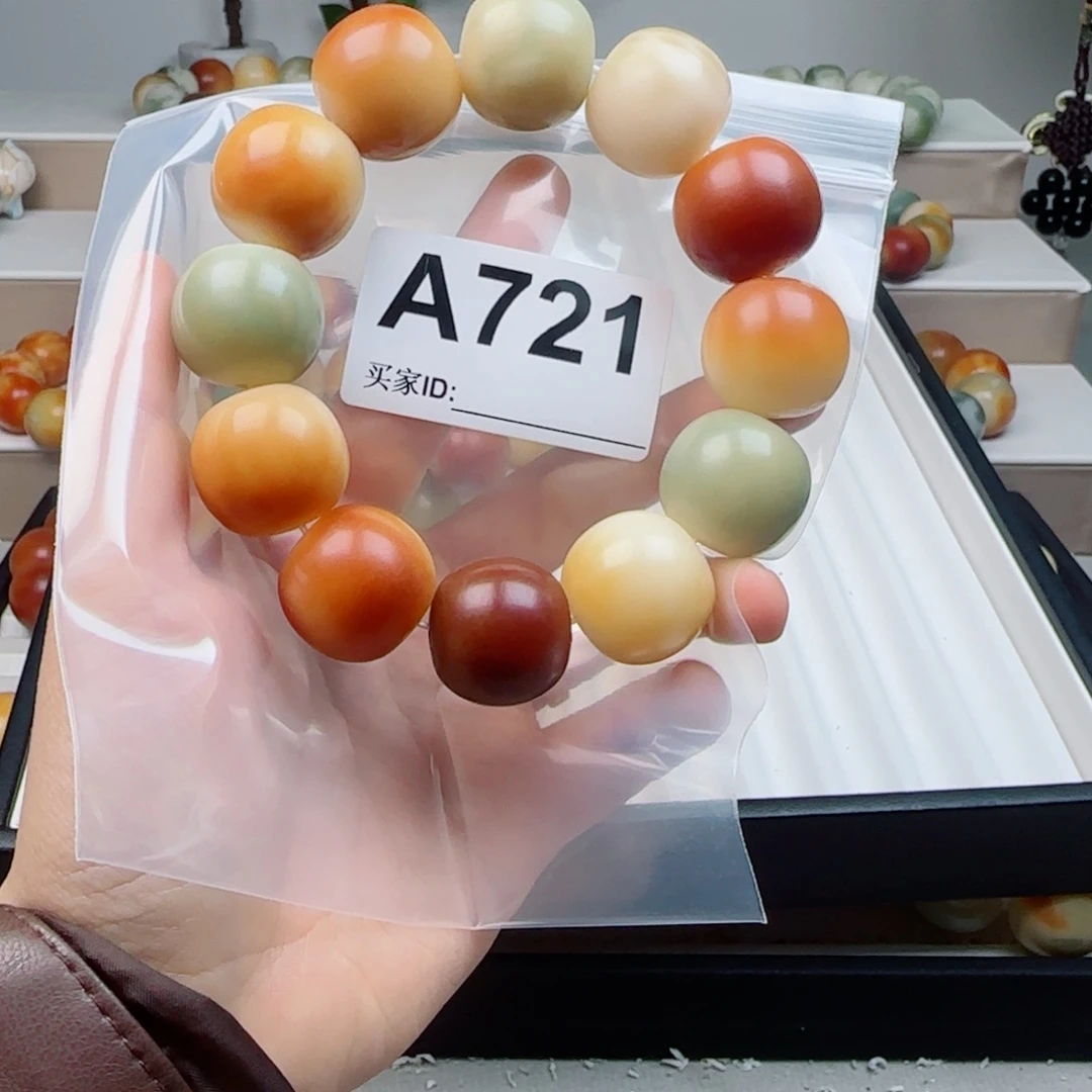 吊坠菩提根/象牙果菩提2.25