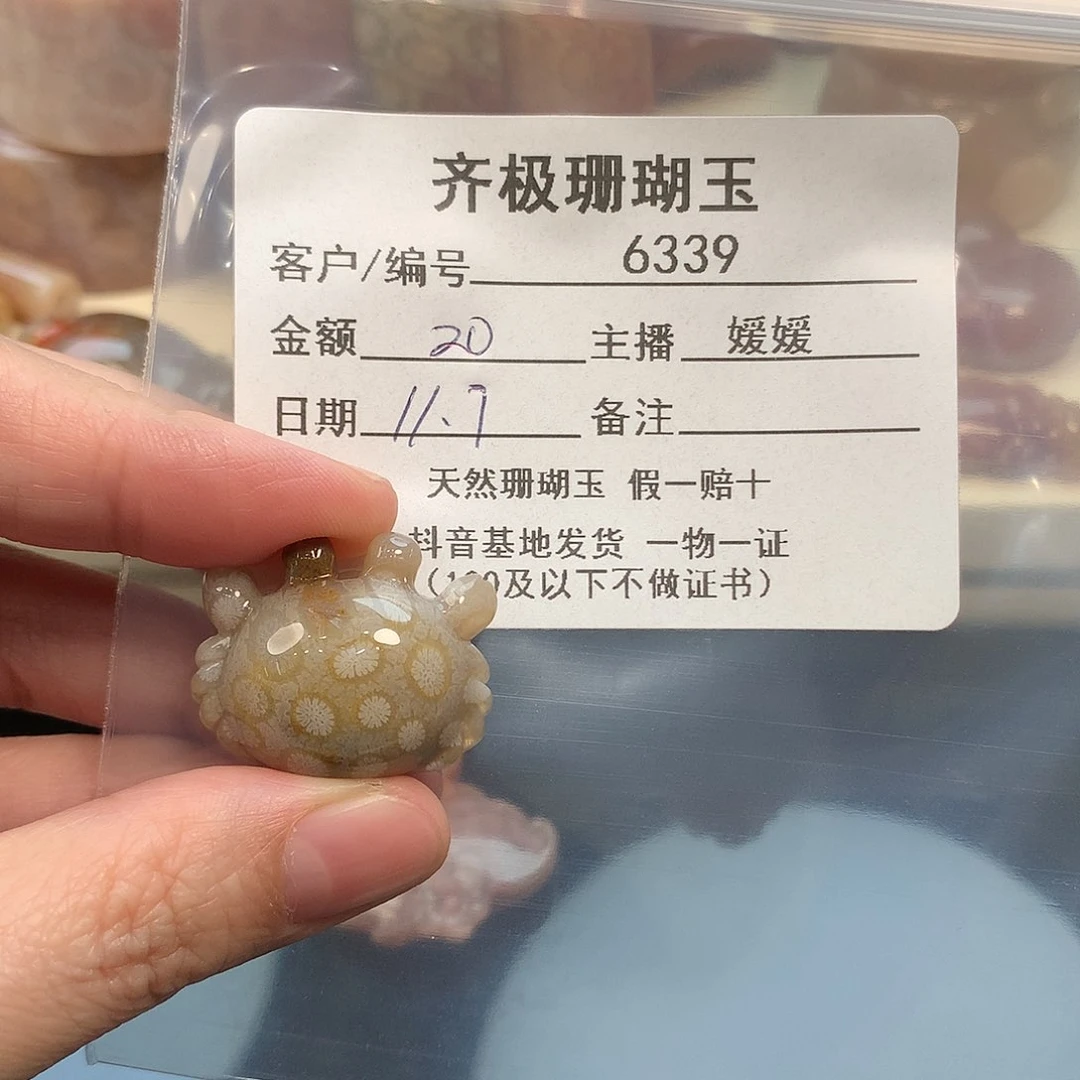 颈饰未镶嵌硅化珊瑚（珊瑚玉）彩*