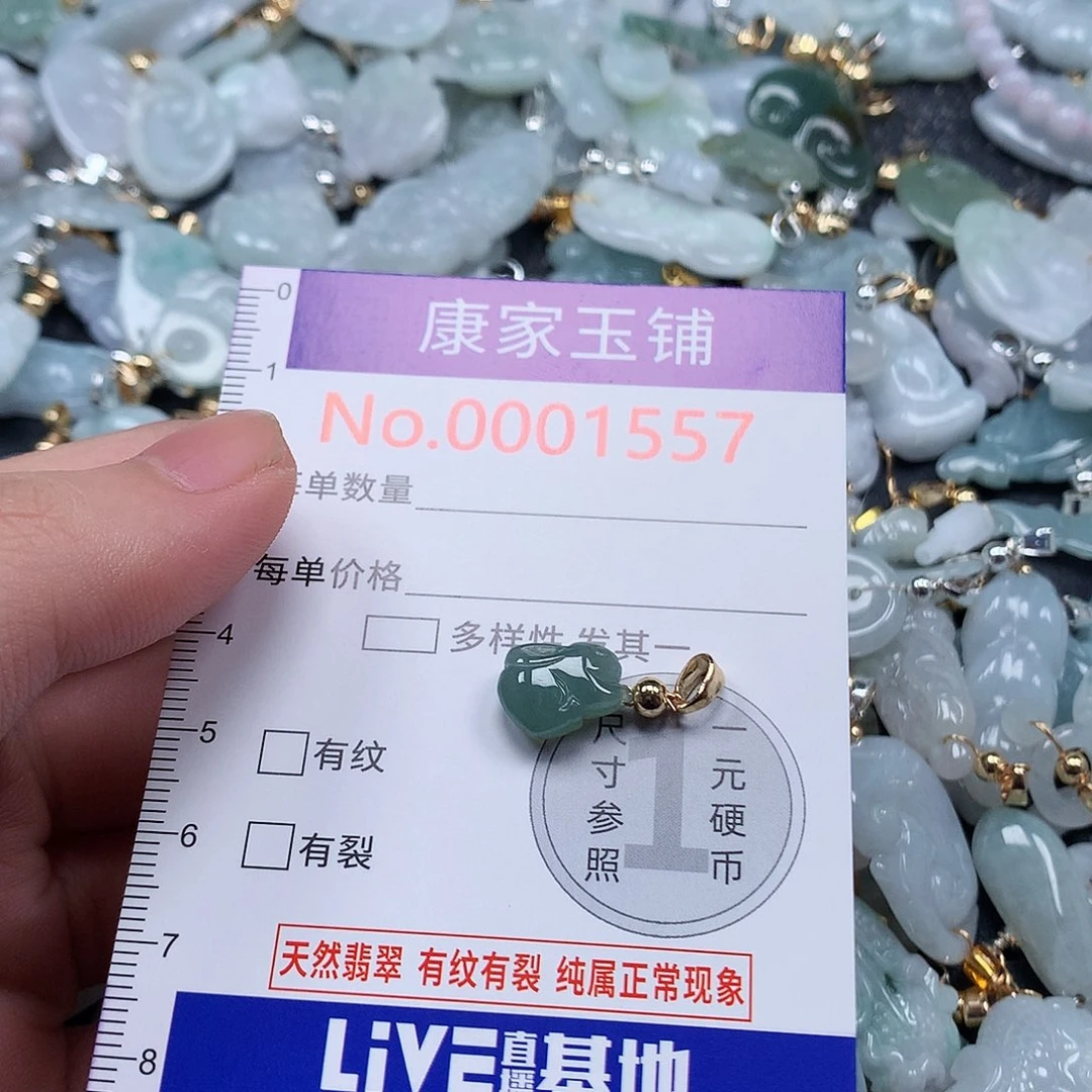 颈饰未镶嵌翡翠t