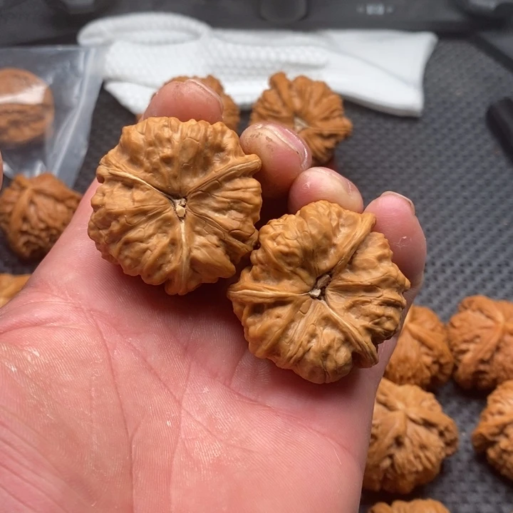 核桃把件小*运拼接蛤蟆头2