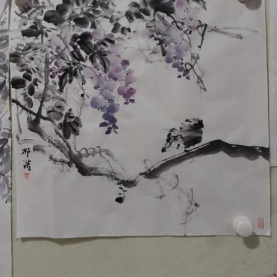 国画中国画花鸟画