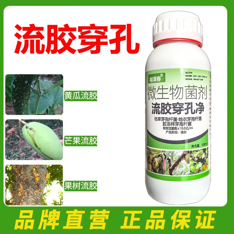 果树流胶流胶净桃树李子杏树黄瓜活菌流胶净氨基酸病菌剂裕满春