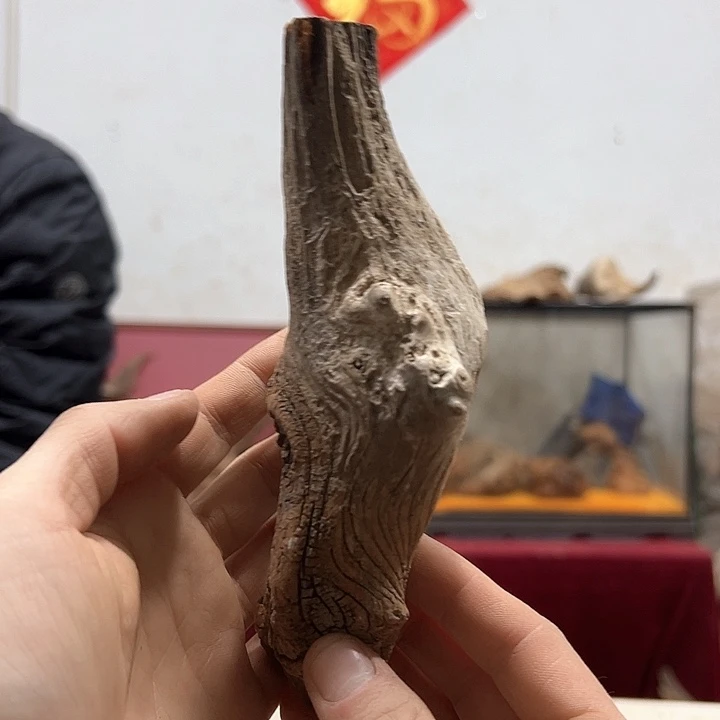 柏木木*我们的生活也是