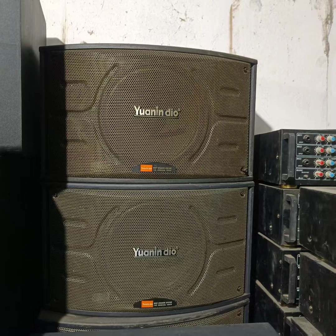 日本Yuanin dio10寸音响 不包邮