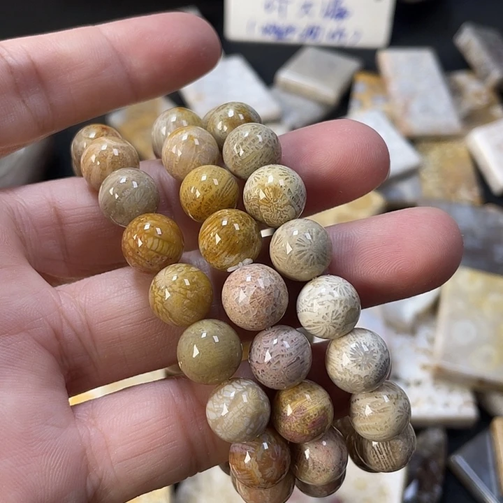 未镶嵌手链硅化珊瑚（珊瑚玉）10+