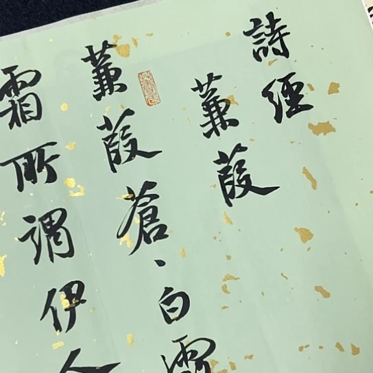 书法张建东老师书法作品