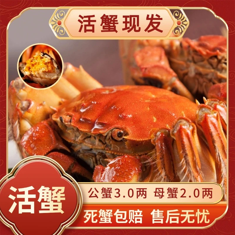 【活蟹现发】姑苏精品大闸蟹3两公+2两母4对5对鲜活礼盒包邮
