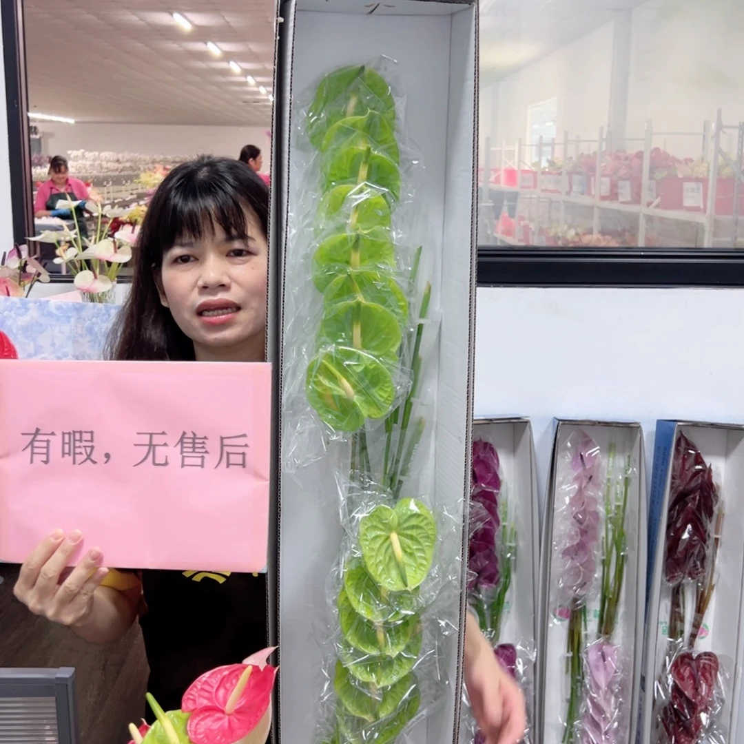 完全开放绿掌-16枝装无售后款！