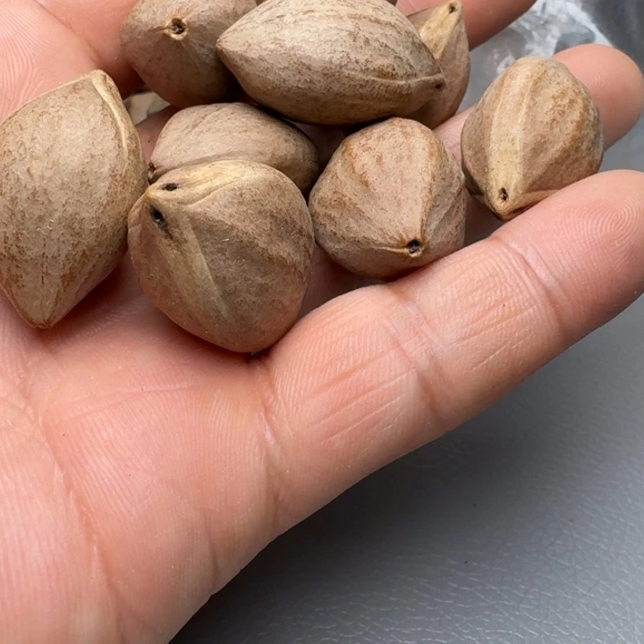 橄榄核手串南*橄榄核666