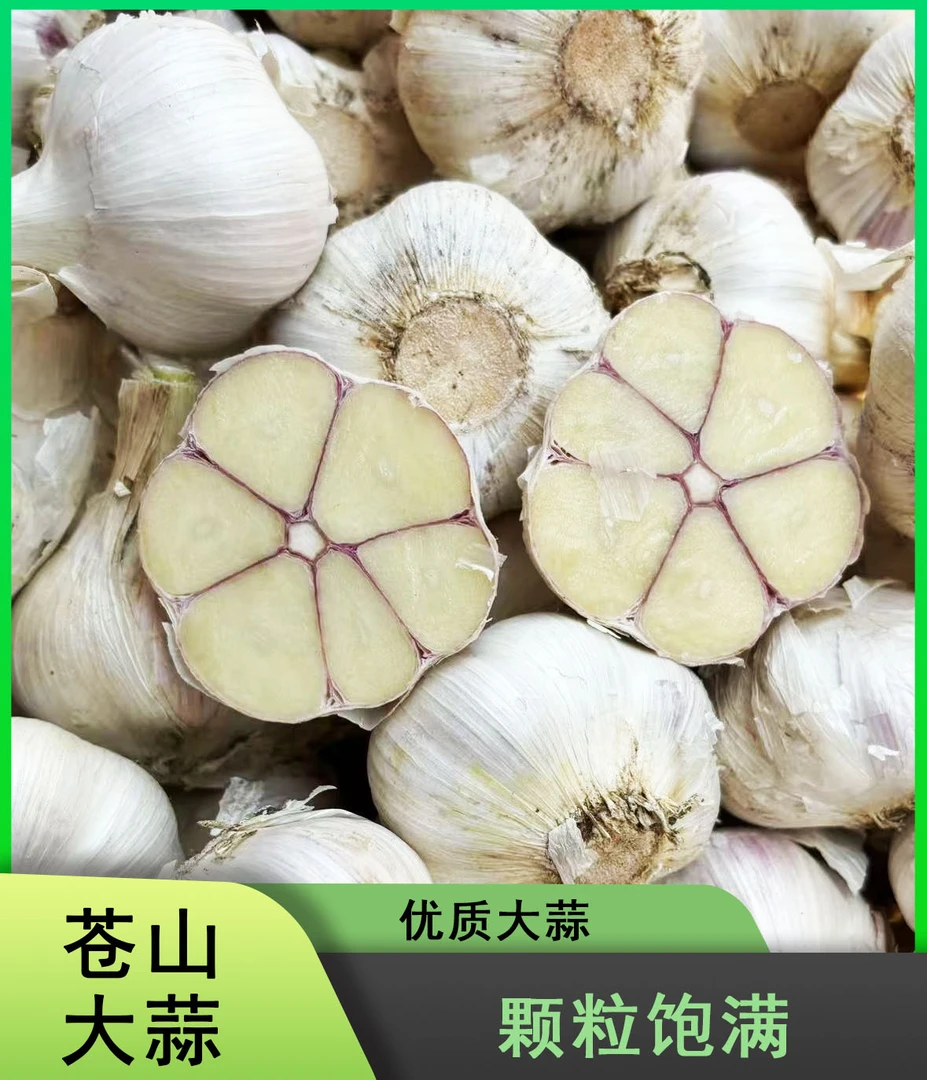 2025年新蒜苍山四六瓣大蒜新鲜干蒜白皮大蒜香辣脆粘可做蒜种