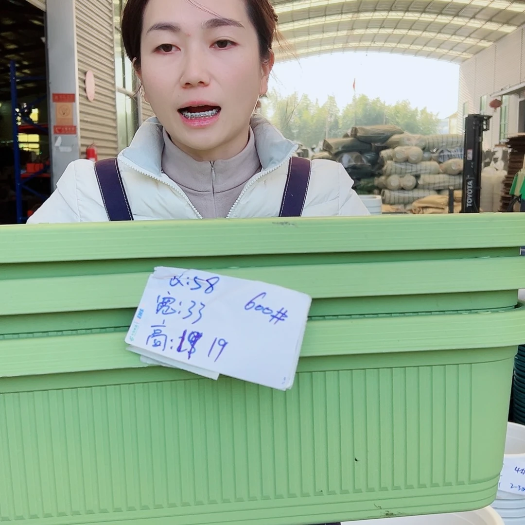 菜盆600#果绿3个无托