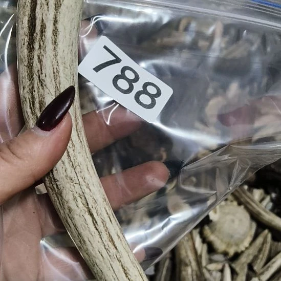 熊****鹿角鹿角鹿角鹿角鹿角鹿角