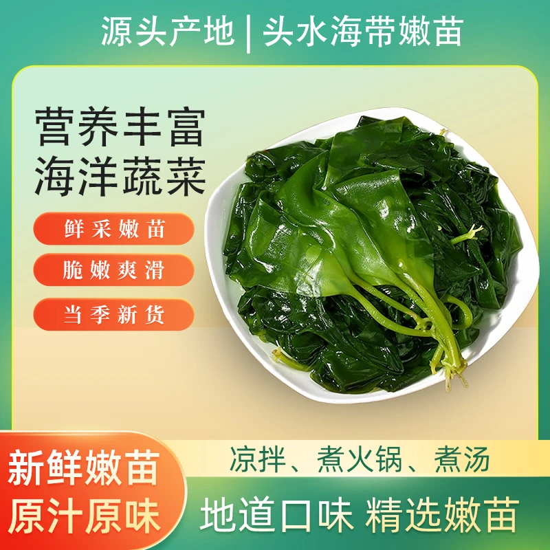 【新品福利】蝶岛海歌头水海带嫩苗盐渍海带无沙火锅煮汤凉拌菜