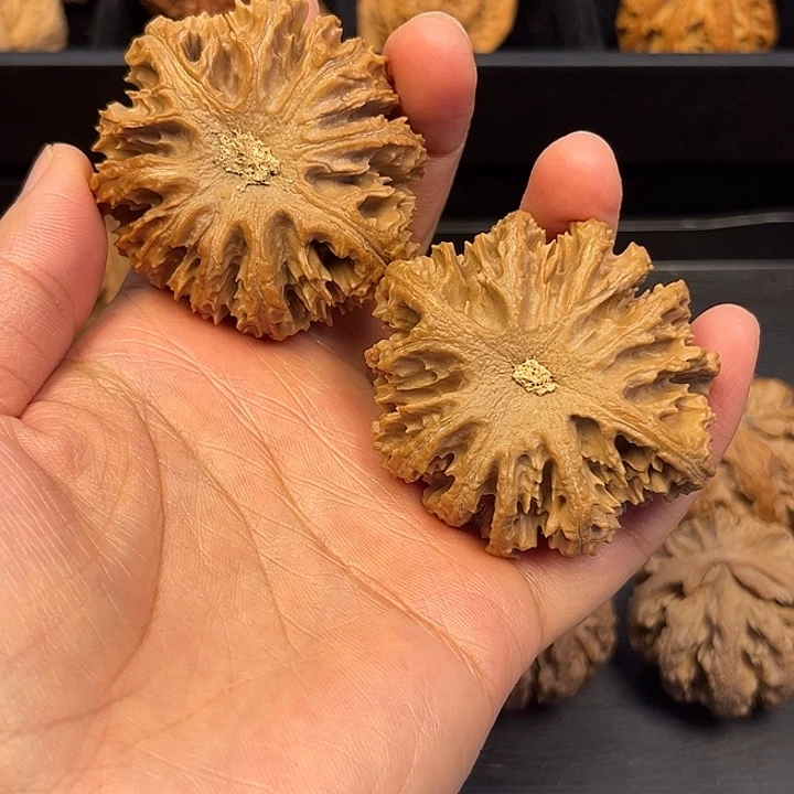 刘***生核桃秦岭突突突突突突突