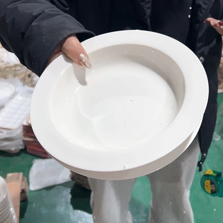 新骨瓷8英寸2只装