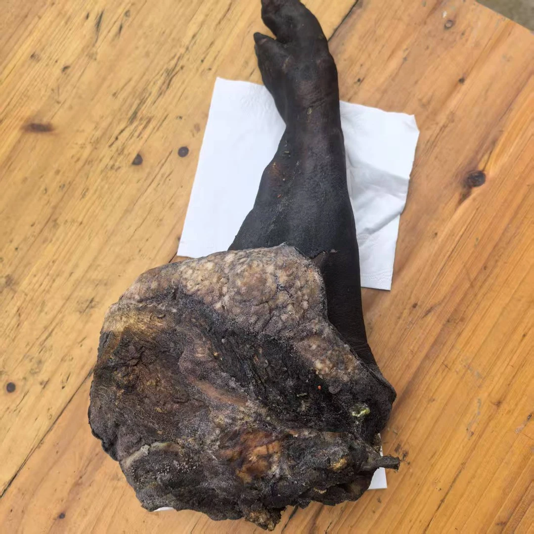 贵州棕坪道真山货～腊猪脚