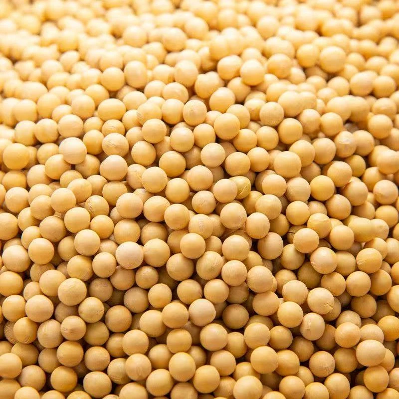 农家绿豆500g装打豆浆炖猪蹄