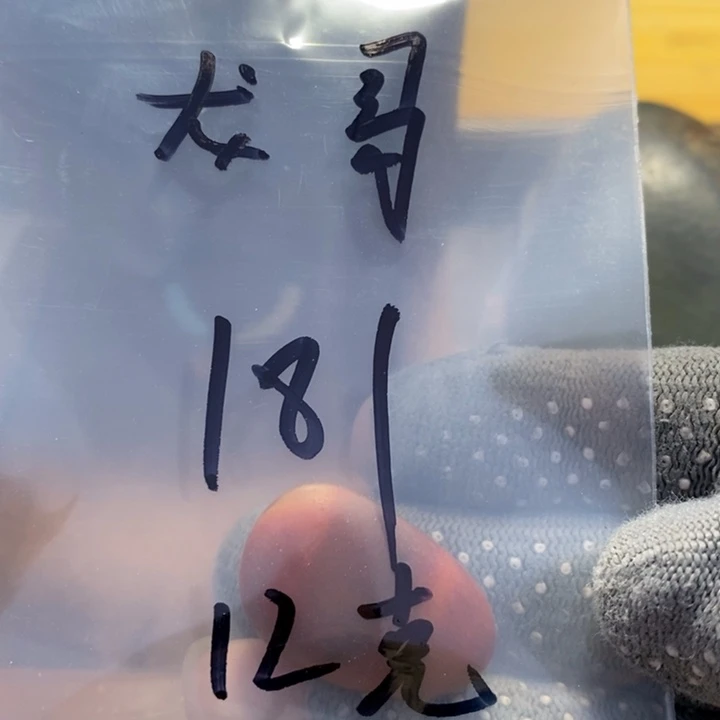 龙**下和田玉精品了景观