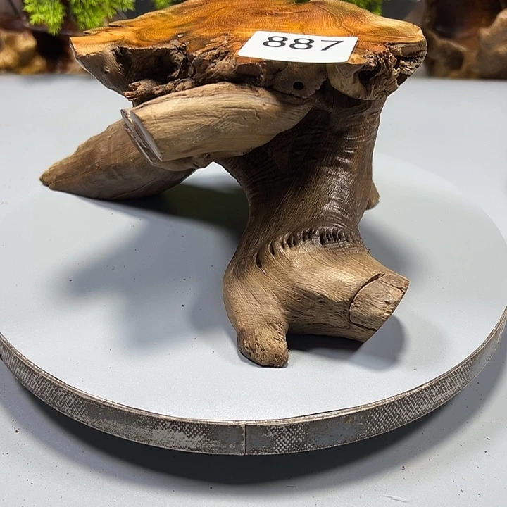 大果紫檀（缅甸花梨）心**水