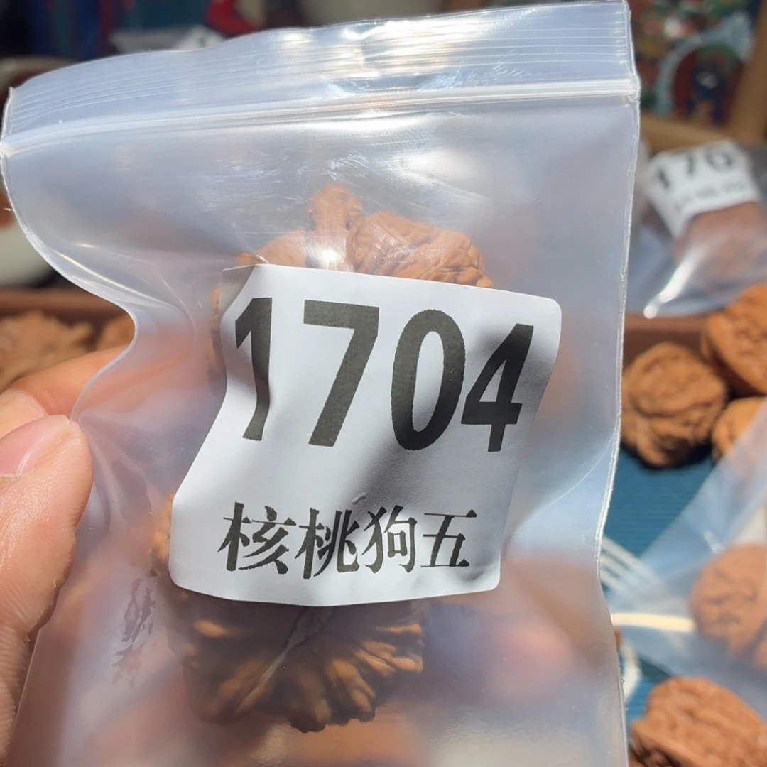 一***狼核桃1704白狮子全