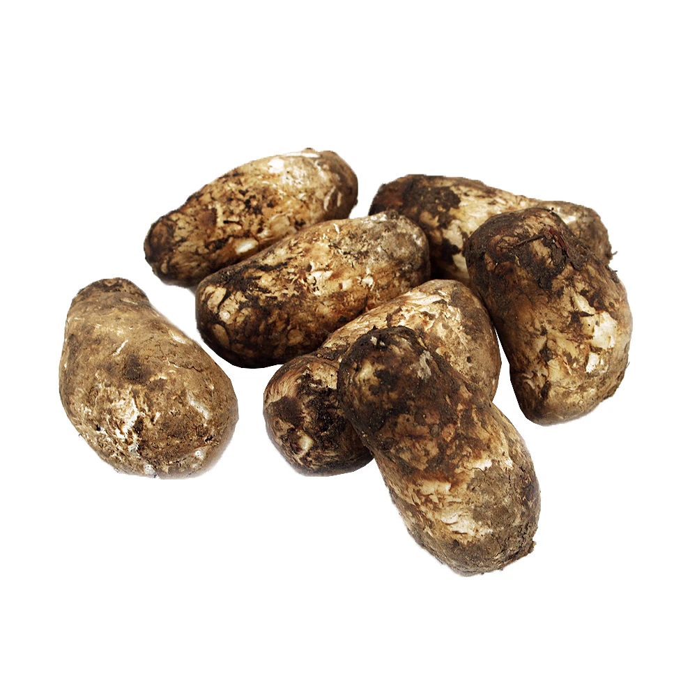 盒马菌菇星球 野生松茸(3-5cm) 50g