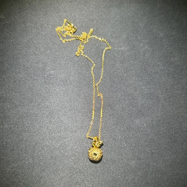 0043精美苹果项链