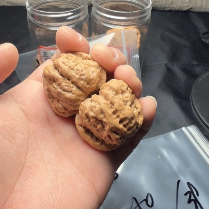 威***师大叶紫檀（黑酸枝木类）